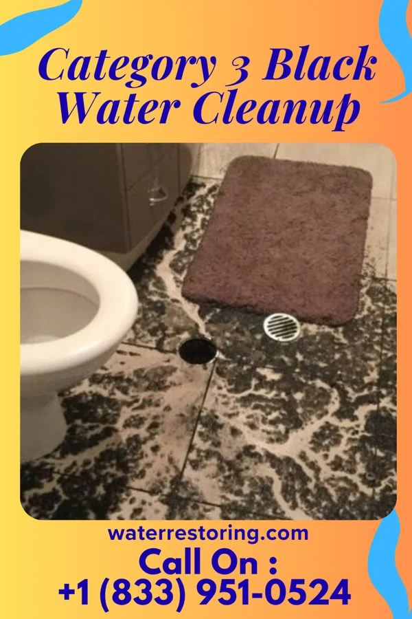 Category 3 Black Water Cleanup in Lattingtown, NY