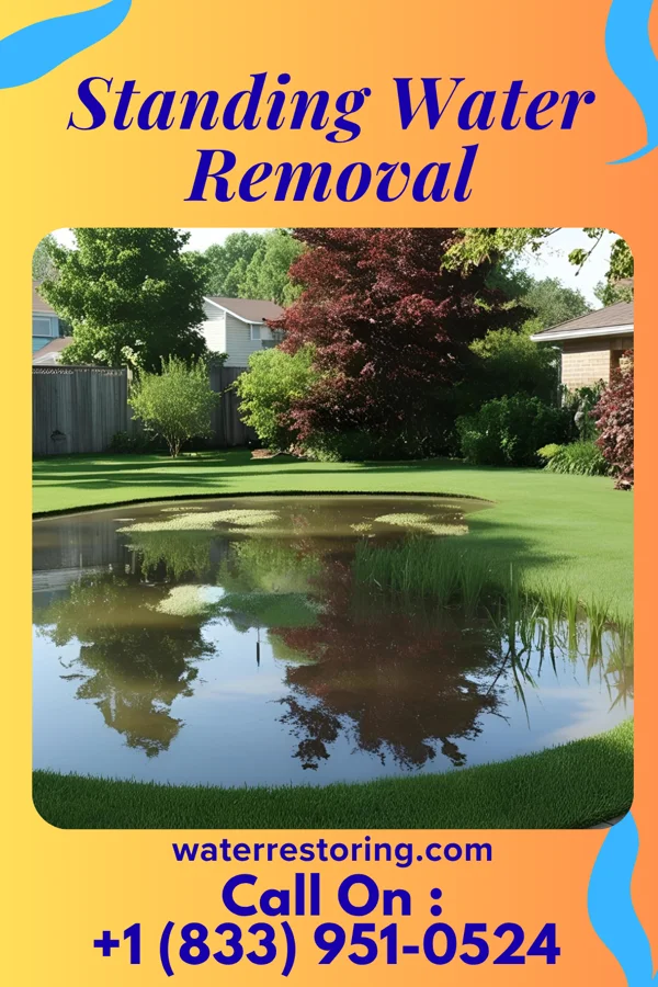 Standing Water Removal in Lattingtown, NY